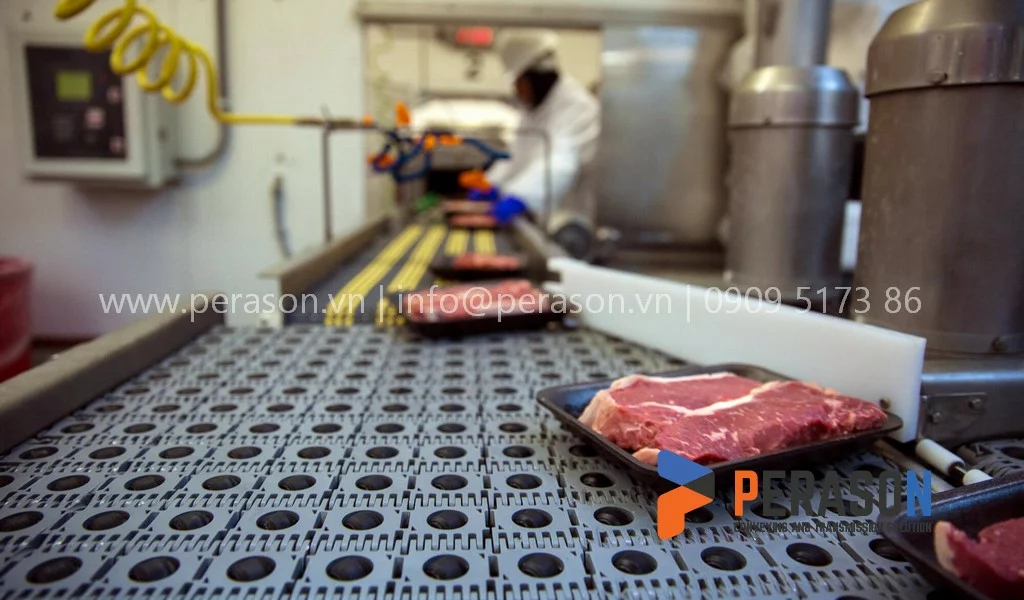 Khảo sát băng tải 5 Khảo sát băng tải