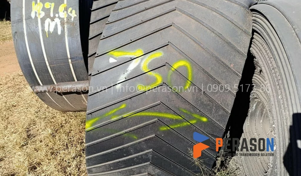 Băng Tải Cao Su Gân V 13 Băng tải cao su gân V cũ